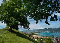 Blick vom Strättlighügel kurz vor der Strättligburg Richtung Gwatt und Thunersee. (bei Klick vergrösserte Ansicht Bild)