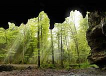 Die Tropfsteinhöhle im Wald des Glütschbachtals hat etwas Geheimnisvolles. (bei Klick vergrösserte Ansicht Bild)