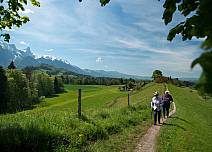 Bei Jung und Alt beliebt zum Spazieren und zum Wandern: der Burgunderweg beim Strättlighügel. (bei Klick vergrösserte Ansicht Bild)
