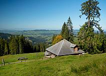 Unterwegs bei einem Alpwirtschaftsbetrieb mit herrlichem Ausblick auf das Mittelland. (bei Klick vergrösserte Ansicht Bild)