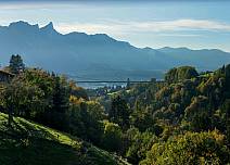 Blick auf den Wald der Gummischlucht mit der imposanten Panoramabrücke und der Stockhornkette. (bei Klick vergrösserte Ansicht Bild)