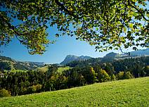 Immer wieder eröffnen sich wunderbare Ausblicke auf die Hügellandschaften mit ihren Wäldern und die nahe Bergwelt.  (bei Klick vergrösserte Ansicht Bild)