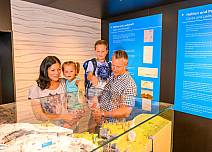 Im Höhlenmuseum können Interessierte dank modernen Präsentationstechniken auf einfache Weise sehr viel über die Beatushöhlen und deren Erforschung erfahren. (bei Klick vergrösserte Ansicht Bild)