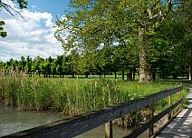 Mehrere Brücken führen über kleine Kanäle und verbinden den Rundweg. Sie ermöglichen auch Einblicke in die Wasserwelt am Thunersee.  (bei Klick vergrösserte Ansicht Bild)