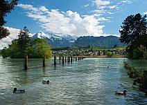 Der Bonstettenpark und seine Ufer sind Lebensraum für eine vielfältige Flora und Fauna. Zahlreiche Wasservögel können auf dem See beobachtet werden. Blick auf in Ufernähe schwimmende Enten Blickrichtung Einigen und Niesen.  (bei Klick vergrösserte Ansicht Bild)
