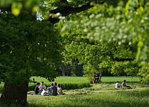 Einfach die Seele baumeln lassen: Im Bonstettenpark laden die grosszügigen Wiesen zum Picknicken und zum Verweilen ein.  (bei Klick vergrösserte Ansicht Bild)