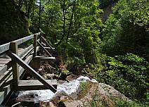 Ein Holzsteg führt über den rauschenden Cholerebach, der in der Schlucht Cholerengrabe heisst. (bei Klick vergrösserte Ansicht Bild)