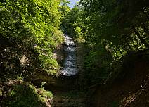Die eindrückliche Nagelfluh der Tschingelfluh umrahmt von Bäumen und Sträuchern in vielerlei Grüntönen. (bei Klick vergrösserte Ansicht Bild)