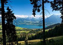 Blick aus dem schattigen Wald hinaus auf die sonnenbeschiene Region Thunersee mit dem mächtigen Niesen. (bei Klick vergrösserte Ansicht Bild)