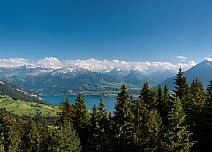 Über den Baumwipfeln der Wälder sieht man weiter über die prächtige Region Thunersee hinaus. (bei Klick vergrösserte Ansicht Bild)