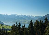 Blick über die Baumwipfel auf die Region Thunersee mit den Berner Oberländer Alpen. Rechts im Bild der Niesen.  (bei Klick vergrösserte Ansicht Bild)