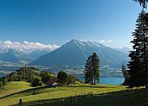 Auf dem Weg durch den Wald zur Blueme eröffnet sich an lichten Stellen immer wieder die herrliche Aussicht auf den Thunersee und den Niesen. (bei Klick vergrösserte Ansicht Bild)