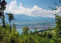 Auch unterwegs im Wald eröffnet sich an lichten Stellen eine grossartige Aussicht auf das Gestade des Thunersees. (bei Klick vergrösserte Ansicht Bild)