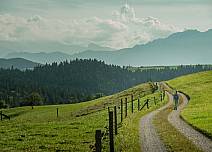Nach der Mühlimatt geht es auf einem gepflegten Feldweg entlang von Wiesen dem Bergpanorama entgegen. (bei Klick vergrösserte Ansicht Bild)
