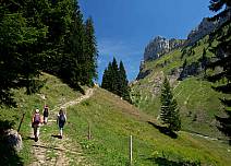 Der steinige Wanderweg hinauf zur Sichle führt auch dem Wald entlang. (bei Klick vergrösserte Ansicht Bild)