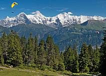 Nicht nur ein Wanderparadies: Das Niederhorn ist auch bei Gleitschirmfliegern sehr beliebt. Startplatz ist der Güggisgrat.  (bei Klick vergrösserte Ansicht Bild)