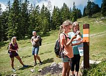  (bei Klick vergrösserte Ansicht Bild)