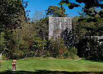 Geschichte am Waldrand: Die Burgruine Weissenstein wartet kurz vor der Zielgeraden nach Interlaken. (bei Klick vergrösserte Ansicht Bild)