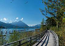 Auf dem Holzsteg erhalten Gross und Klein spannende Einblicke in die hiesige Wasserfauna und -flora am Thunersee. (bei Klick vergrösserte Ansicht Bild)