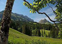 Wunderbarer Ausblick über grüne Weiden und Wälder hin zu den Sieben Hengsten und dem Burst. (bei Klick vergrösserte Ansicht Bild)