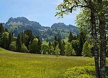 Eine hochalpine Moorlandschaft im satten Grün erwartet von den Wandernden entdeckt zu werden. Im Hintergrund die Nordseite des Hohgantmassivs. (bei Klick vergrösserte Ansicht Bild)