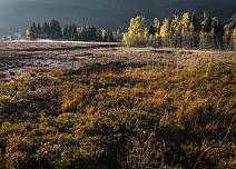 Das Naturschutzgebiet Steinmösli ist Lebensraum für seltene Hochmoorpflanzen und für verschiedenste Libellenarten. (bei Klick vergrösserte Ansicht Bild)