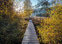 Ein Abstecher lohnt sich: Über einen Steg kann das Naturschutzgebiet Steinmösli hautnah erlebt werden. (bei Klick vergrösserte Ansicht Bild)