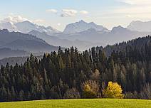 Ein Augenschmaus: Bei zahlreichen Aussichtspunkten präsentieren sich die saftigen Wiesen, die sattgrünen Wälder und die Alpen wie auf einem Gemälde.  (bei Klick vergrösserte Ansicht Bild)