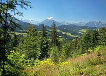 Die Strecke nach Honegg führt vorwiegend durch Wälder. An lichten Stellen sieht man den Niesen und die Stockhornkette. (bei Klick vergrösserte Ansicht Bild)