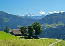 Grüne Wiesen und freie Sicht, wenn es hinab nach Eriz geht. (bei Klick vergrösserte Ansicht Bild)