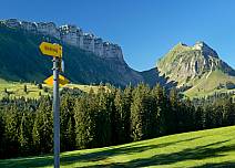 Gelbe Wanderwegweiser zeigt, wohin es weitergeht. Die Wälder des Eriz sowie die Sieben Hengste, der Burst und die Sichle sind derweil treue Wegbegleiter. (bei Klick vergrösserte Ansicht Bild)