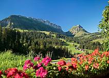 Festschmaus für die Augen: Herrliche Geranien und das satte Grün mit Blick auf die Sieben Hengste, die Sichle und den Burst sowie den wunderbar blauen Himmel. (bei Klick vergrösserte Ansicht Bild)