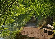 Wunderbare Wanderstrecke am See: Unter den Blätterbaldachinen der Bäume gibt es zahlreiche Ruhebänke. (bei Klick vergrösserte Ansicht Bild)