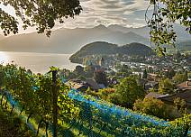 Am Waldrand oberhalb des Rebbergs geniessen Wandernde einen herrlichen Ausblick auf Spiez und die Bucht sowie den Thunersee. (bei Klick vergrösserte Ansicht Bild)