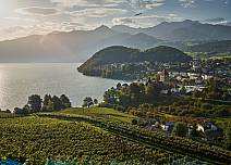 Magisches Lichtspiel: Blick über die Rebberge auf Spiez und die Bucht. (bei Klick vergrösserte Ansicht Bild)