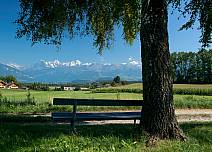 Im Schatten eines Baumes kann man auf diesem Ruhebänklein die wunderbare Aussicht auf das Niederhorn sowie Eiger, Mönch und Jungfrau besonders gut geniessen. (bei Klick vergrösserte Ansicht Bild)
