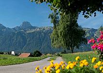 Farbenprächtiger Schnappschuss: Bunte Blumen, sattgrün leuchtende Bäume und das markante Stockhorn. (bei Klick vergrösserte Ansicht Bild)