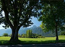 Das Stockhorn als ständiger Begleiter auf der Wanderung: Zwischen den Schatten spendenden Bäumen lugt der markante Berggipfel hervor. (bei Klick vergrösserte Ansicht Bild)