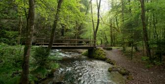 Glütschbachtal – vom zauberhaften Tal zum geschichtsträchtigen Strättligturm