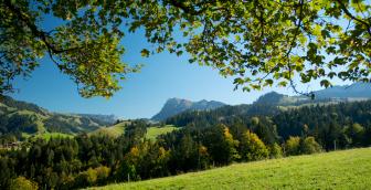 Koppisbrücke – Verbindung zwischen Eriz und Horrenbach