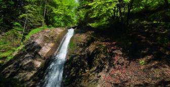 Cholerenschlucht – die Schlucht der rauschenden Wasser