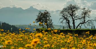 Wunderbare Aussichten – auf die Oberländer Bergwelt
