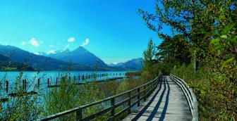 Pilgerweg  – vom Palmendorf in die Tourismusmetropole