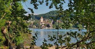 Spiezer Rundwanderung – eindrückliche Kontraste