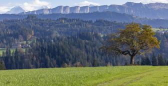 Auf Gotthelfs Spuren – sagenhafte Ausblicke