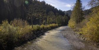 Schallenberg – auf den Spuren des reissenden Wassers