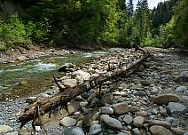 Bei schönem Wetter rauscht die Zulg friedlich vor sich hin. Bei Regenwetter steigt das Wasser schnell an und entwickelt gewaltige Kräfte, wie der Schwemmholz-Stamm am Ufer verdeutlicht. (bei Klick vergrösserte Ansicht Bild)