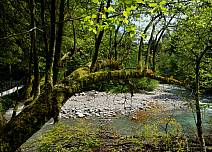 Mit seinen Kies- und Steinbänken lädt die Zulg auch zum Verweilen ein. (bei Klick vergrösserte Ansicht Bild)