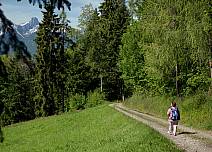 Die Wanderung führt auch über Feldwege und und durch den Wald. (bei Klick vergrösserte Ansicht Bild)